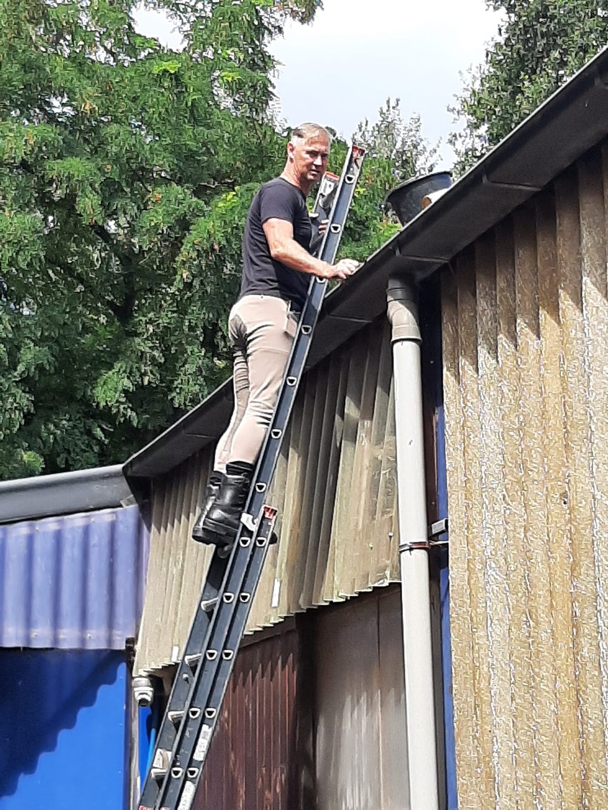 Deelnemer op een ladder bij de dakgoot van de stallen